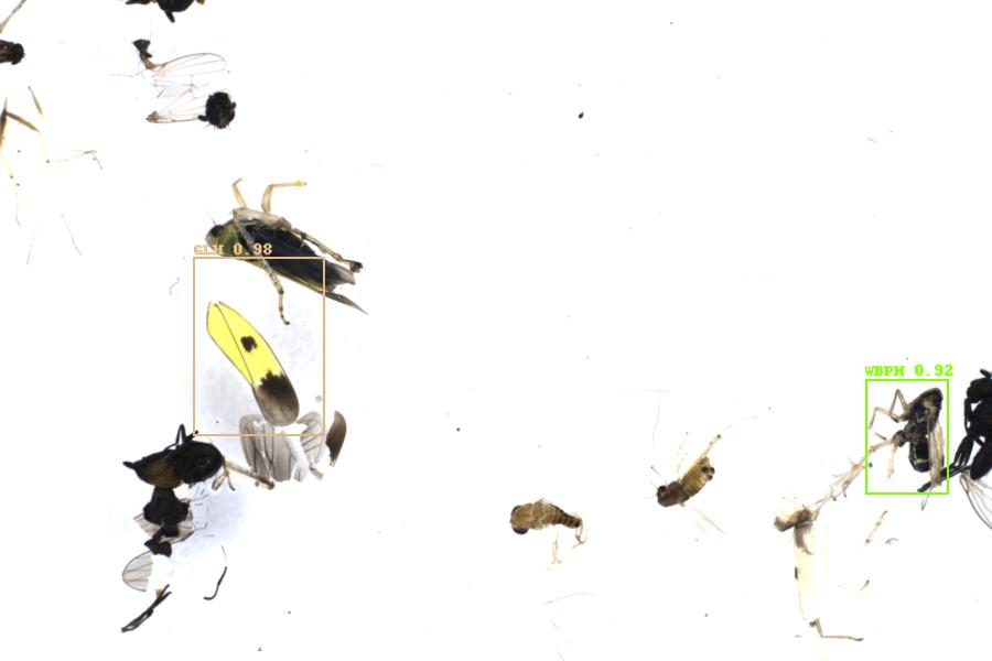 Image 110